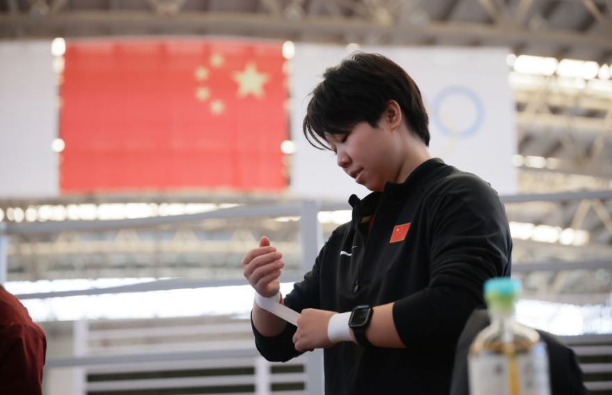 AC米兰的战术演变与发展分析